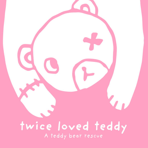 twice loved teddy